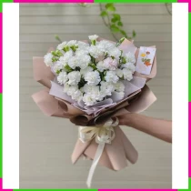 Bạch Liên Hương Nguyệt B3GMGPWSH2