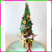 Giáng Sinh Ấm Áp Mãi Xanh Tươi Tốt 3CP2P0ALW