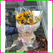 Bạch Dương Hỷ Lạc IV39OIACOP