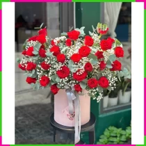 Hồng Bạch Tri Ân VLANX7NC48