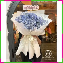 Thanh Xuân Đường Mật Tiểu Lam NCZTYPTWLI