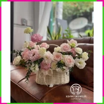 Hồi Ức Nguyệt Hoa 39H59YEIVB