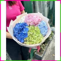 Thiên Thanh Tú Mộng PKBCQ09JKA