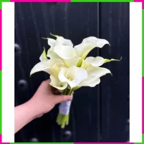 Bạch Liên Thuần Khiết 8Q161HOKU9