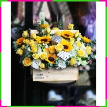 Kim Dương Cẩm Tú Lãng KI99LSQONM