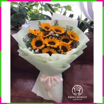 Hỷ Lộc Dương Quang PO67RRYTMW