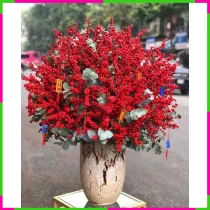 An Khang Đào Đông Trường Cửu Hồng GXXQ06WHZW