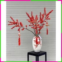 Đào Hồng Đông Phương Mỹ Mãn ORTOY13WKJ