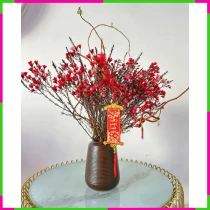 Bình Liễu Xuân Mềm, MELROB3RW