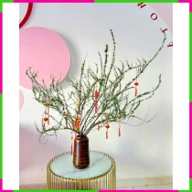 Bạch Mai Nghệ Thuật Hoa Bình XD72X3VNVT