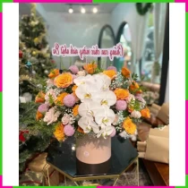 Hồng Quang Minh Lệ IFL9250WA3