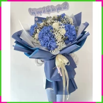 Hồng Ngọc Bình Yên 7M79VHAITE