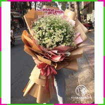 Đại Tùng Cúc Tân Nương Tâm Ý D9DKKW3CL