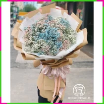 Hồng Lam Ngọc Anh Kỳ Diệu Q8ZWA8HB27
