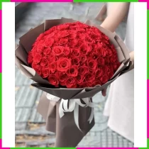 Bách Hồng Nhưỡng Tình Thiên Khải VSOWFN62G8