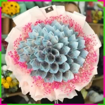Kim Ngân Hồng Anh Tinh Tú Hòa Phối 8PWTVGMY0F