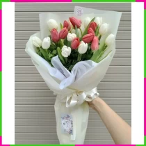 Hồng Bạch Ngọc Tâm F8B6WUBIJG