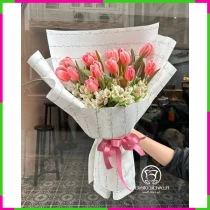 Hồng Thiên Sứ Tình Đầu WY14SNJF6P