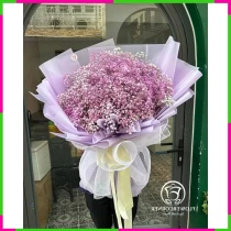 Tử Vân Mộng Tình Hoàng Lệ Điệp Vũ KO2E7BWRU1