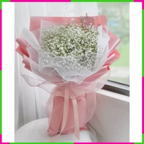 Bạch Miên Hương DK755VSUYM