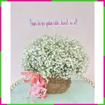 Bạch Tuyết Tiểu Ngọc Lâm** GH0XJ5R8US