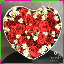 Hồng Nguyệt Tâm Đan JDWAWPJT2T