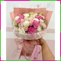 Bạch Cúc Ngọt Ngào CLE3OJ4WRK