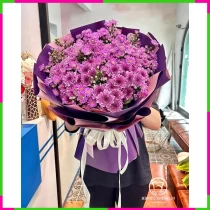 Tử Cúc Điền Dã Tình Hoa Điệp 6WZAZXSFVO