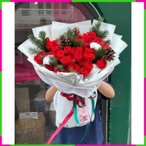 Giáng Sinh Hồng Phúc Tinh Thông Tình Thân GG40PNMYQT