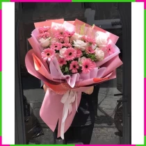 Hồng Tiền Ca Nguyệt QH8LWRVP4I