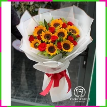 Vạn Sắc Hồng Hướng Dương Tỏa Ngát WJG1QUY3YV