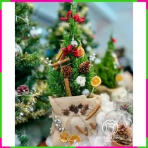 Giáng Sinh An Bình Nhuận Vượt Mã Trường Sinh TOAQL38XO6
