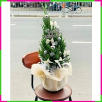 Sơn Tùng Giáng Sinh Hòa Phối Tông Thanh Lịch ZX8RFLBN0