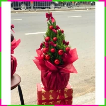 Tùng Nghi Giáng Sinh Tráng Lệ 9OFV6Q62WW