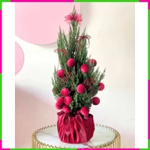 Giáng Sinh Phồn Vinh Sơn Tùng Rực Rỡ 9KLRHYQBZR