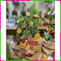 Noel Tình Thương Phụ Linh Sơn Cảnh Sắc NVTFOGEK5H