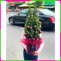 Dựa trên yêu cầu và thông tin cung cấp, dưới đây là một tên Hán Việt mới cho bó hoa này:

“Sơn Tùng Giáng Sinh Hồng Tươi Mỹ Diệu” 

Tên này mang ý nghĩa về sự tươi mới, diệu kỳ của mùa Giáng sinh và miêu tả vẻ đẹp của bó hoa. 7US26VJ3NN