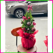 Tùng Nộn Giáng Sinh Tinh Hoa Trang Sức ZJ4LLAWUT