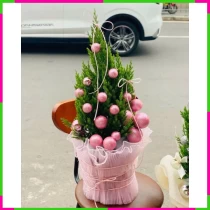 Giáng Sinh Sơn Tùng Trang Hoàng Tuyệt Mỹ URR7RXJAVP