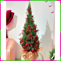 Sơn Tùng Noel Giáng Sinh Rực Rỡ Đặc Biệt 4VM4WWOQXF