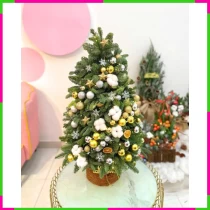 Tùng Tiểu Nữ Long - Giáng Sinh Phục Nguyên Hoa 8DLWZW8I96
