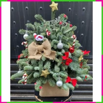 Thông Noel Tinh Khôi Tươi Mới Lạc Quan W8K2MPQ3B