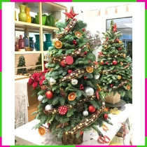Tươi Noel Tinh Hoa Linh Động Dịp Lễ RFML3F4CFP