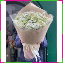 Bạch Ngọc Tình Duyên 0XL3ZHAEFT