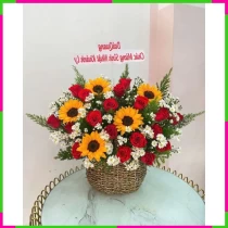 Hân Hoan Hướng Dương WMZVJ0G3CF