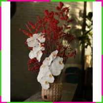 Xuân Đào Lan Hợp Nhất Tinh Phong DOVSN0XJ46