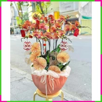 Thập Diệp Lan Châu Cam Tinh Túy. SNSNHH9Y21