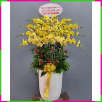 Kim Lan Khánh Trương Điệp Châu HVM327D50