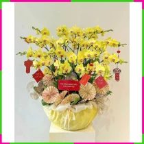 Hoàng Điệp Xuân Vũ Yên Hoa Cát Tường Tú XW0BVQBKOQ