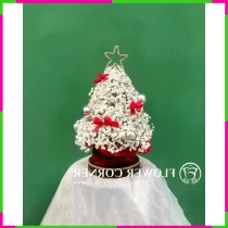 Giáng Sinh Bạch Tuyết Tùng Hoa Dật L8ZUH7M2OA